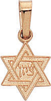 14 KT Star of David charm flat back 6mm. center hebrew word Zion in Hebrew letters