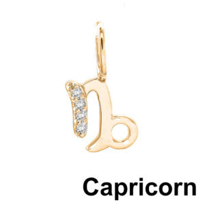 Zodiacs in Gold
