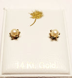 14 KT Six prong pearl Screw Back Earrings
