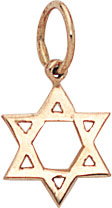 14 KT Star of David Polished 11.5 mm