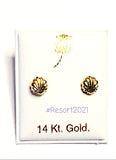 14 KT Shell Screw Back Earrings