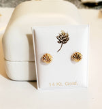 14 KT Shell Screw Back Earrings