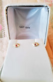 14 KT Eye with blue cz screw back earrings